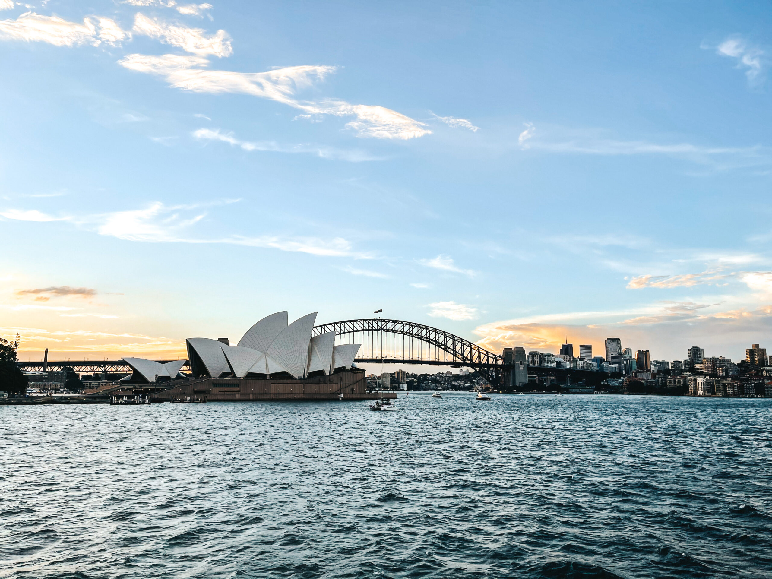 cruise from sydney harbour